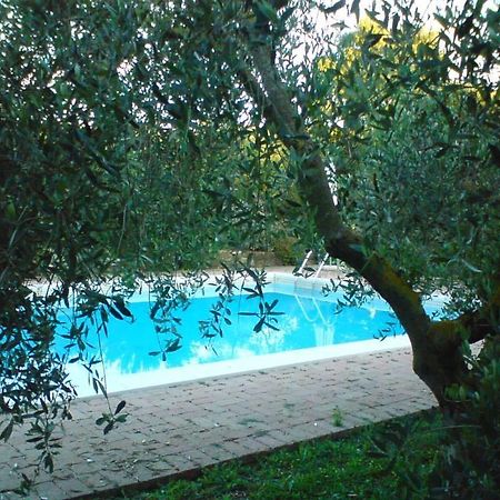 Tenuta Santa Maria Villa Campagnatico Buitenkant foto