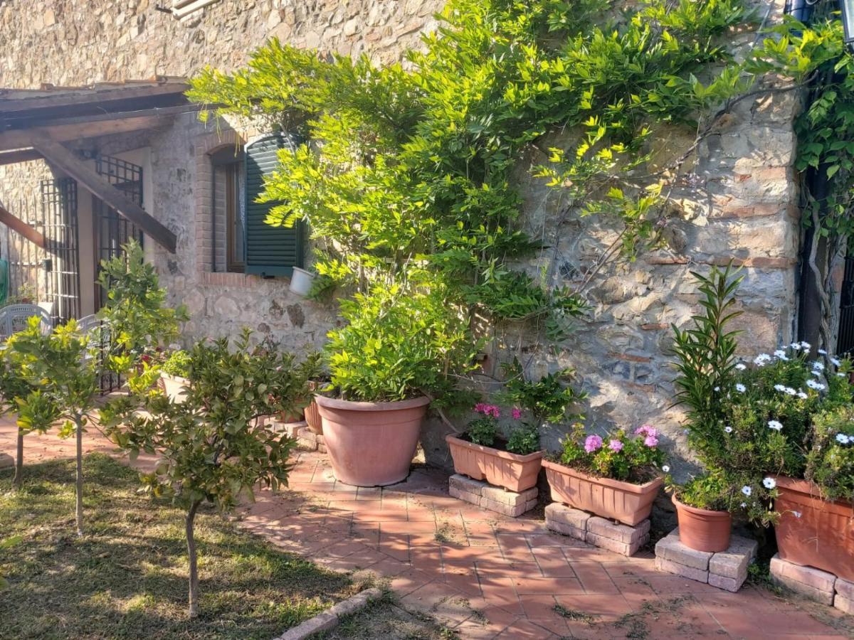 Tenuta Santa Maria Villa Campagnatico Buitenkant foto