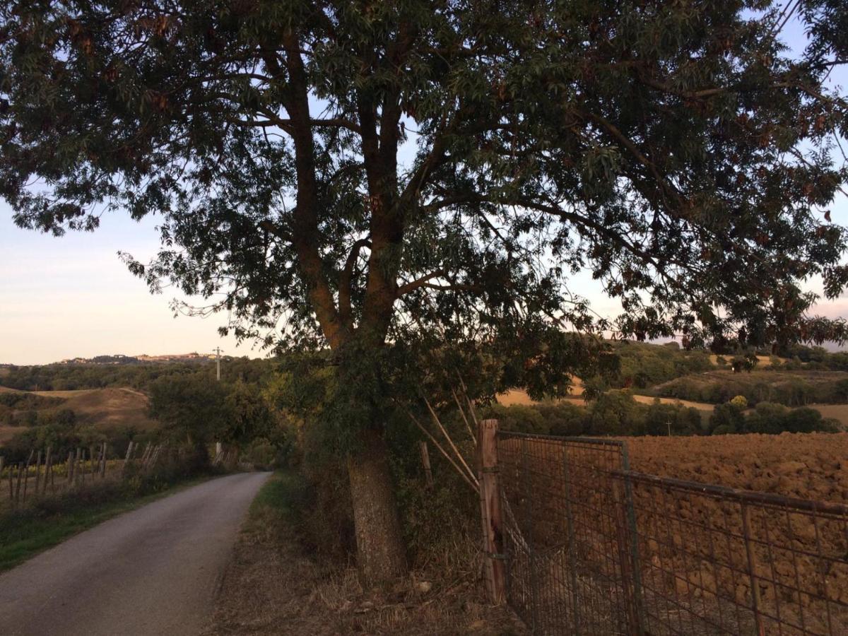 Tenuta Santa Maria Villa Campagnatico Buitenkant foto