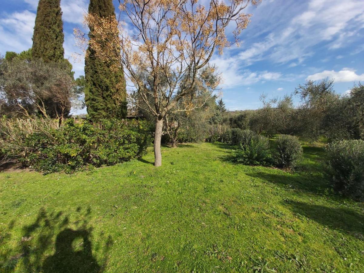 Tenuta Santa Maria Villa Campagnatico Buitenkant foto