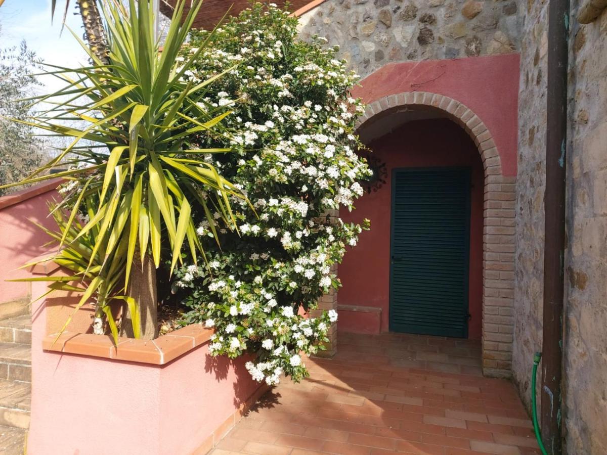 Tenuta Santa Maria Villa Campagnatico Buitenkant foto