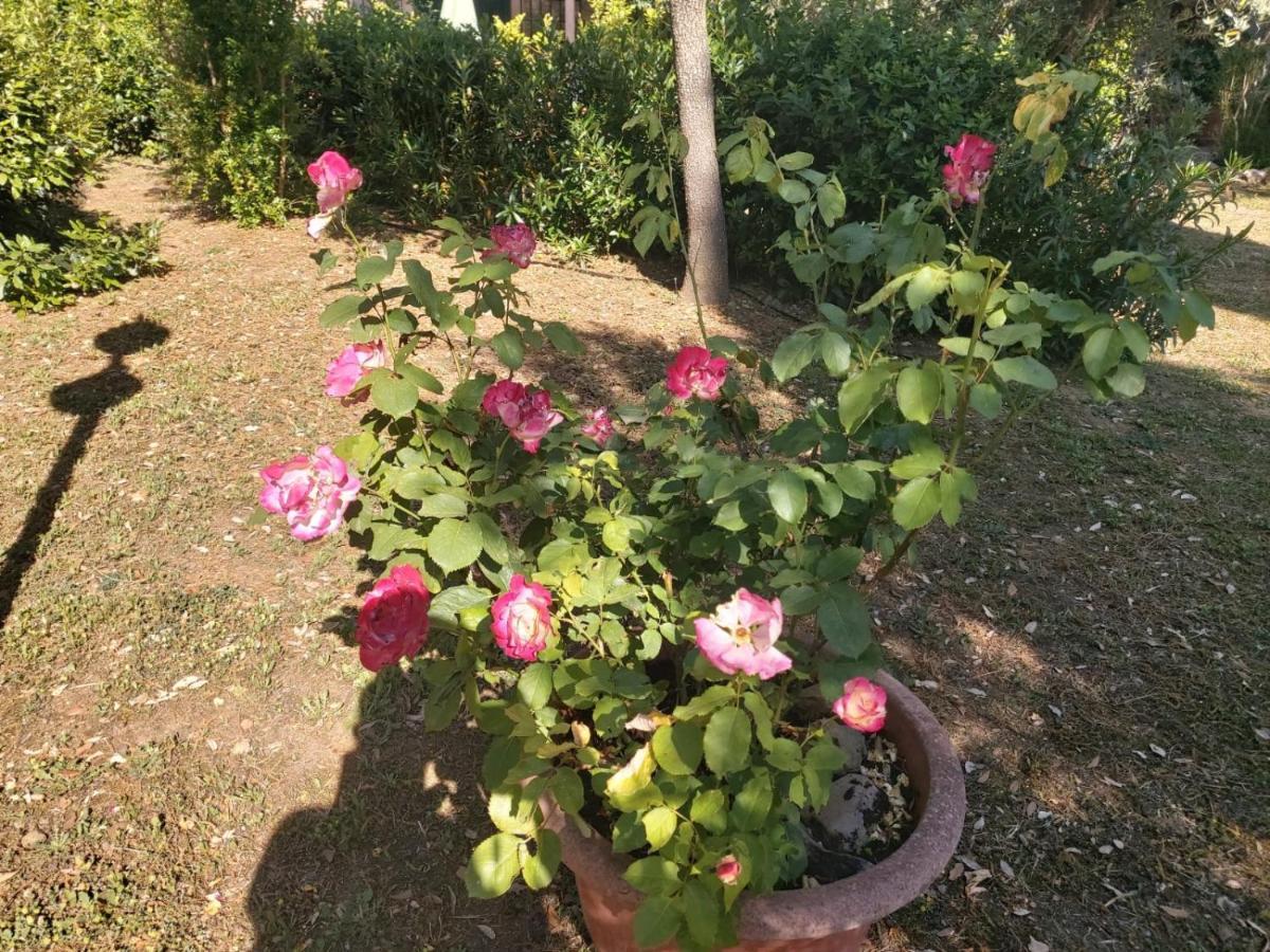 Tenuta Santa Maria Villa Campagnatico Buitenkant foto