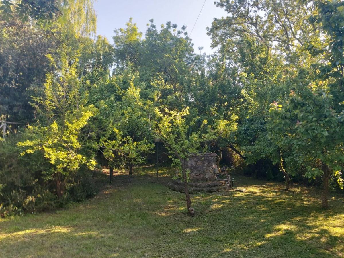 Tenuta Santa Maria Villa Campagnatico Buitenkant foto