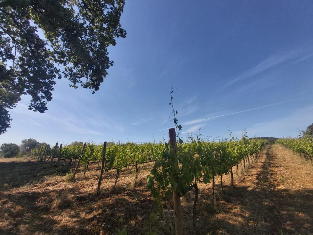 Tenuta Santa Maria Villa Campagnatico Buitenkant foto
