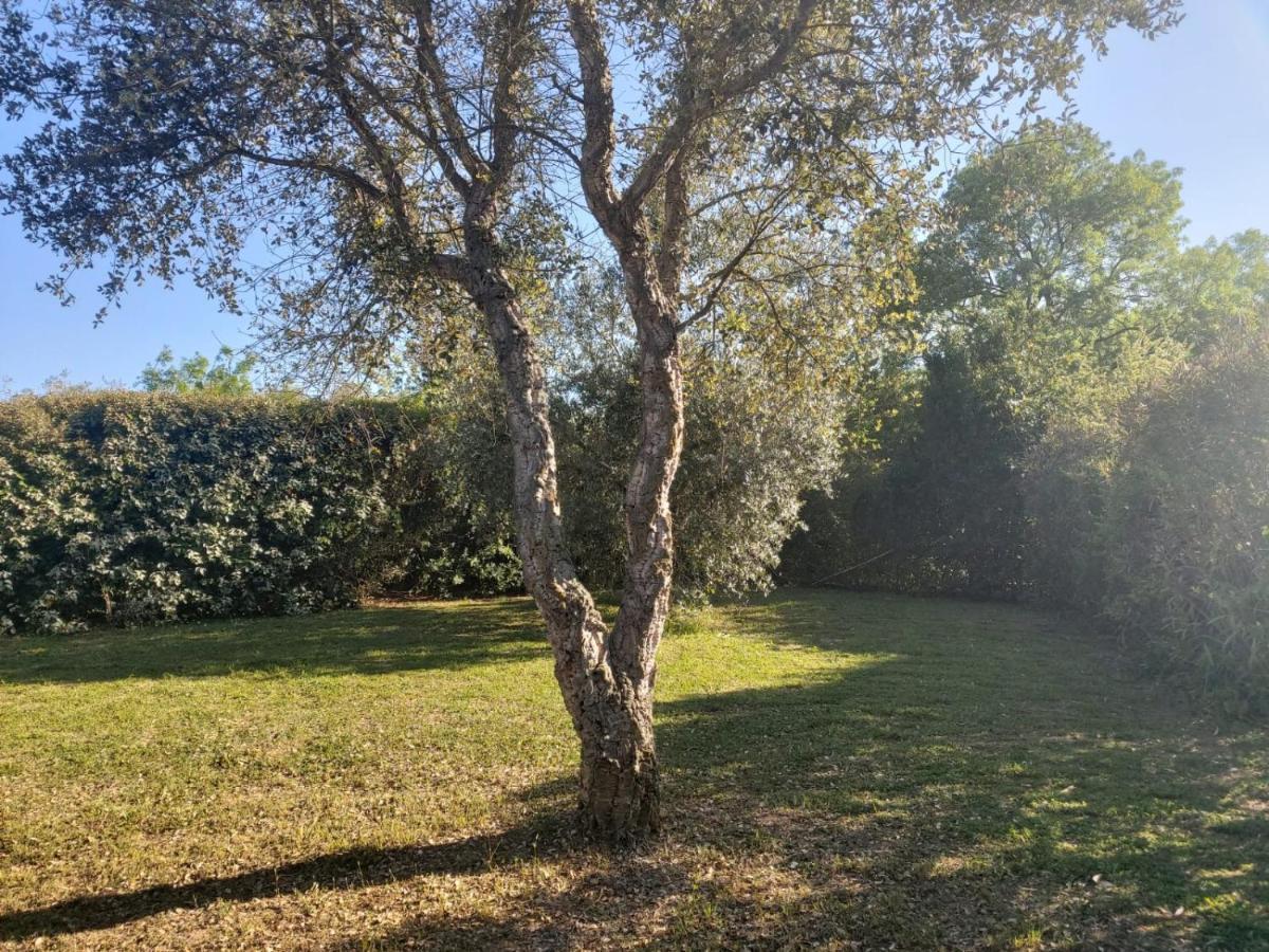 Tenuta Santa Maria Villa Campagnatico Buitenkant foto