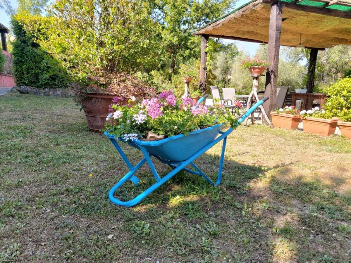 Tenuta Santa Maria Villa Campagnatico Buitenkant foto