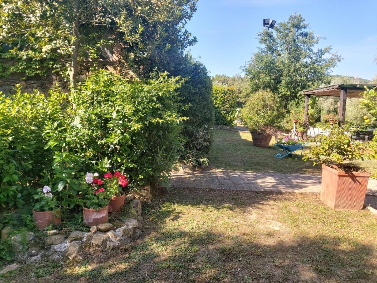 Tenuta Santa Maria Villa Campagnatico Buitenkant foto