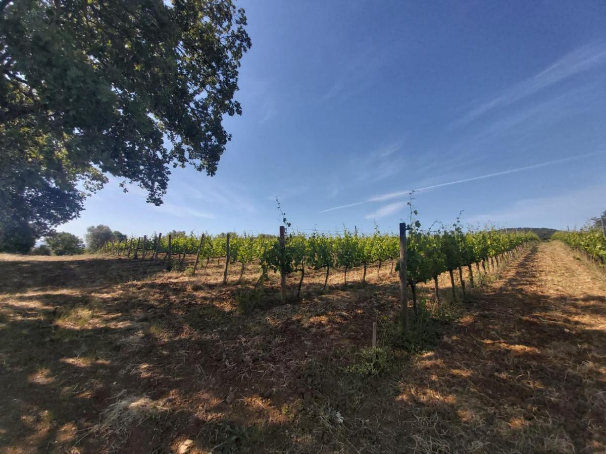 Tenuta Santa Maria Villa Campagnatico Buitenkant foto