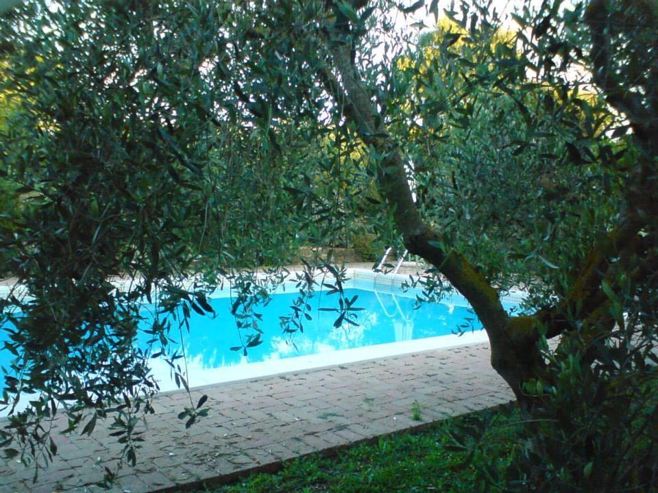 Tenuta Santa Maria Villa Campagnatico Buitenkant foto